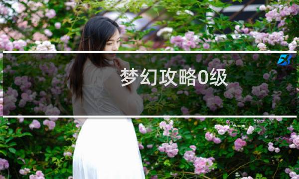 梦幻攻略0级