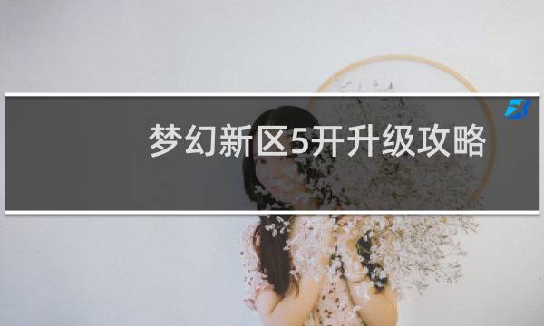 梦幻新区5开升级攻略