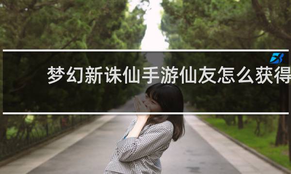 梦幻新诛仙手游仙友怎么获得