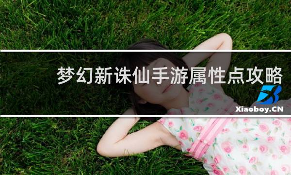 梦幻新诛仙手游属性点攻略