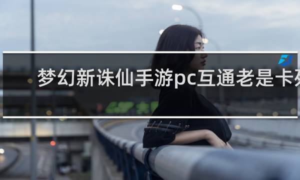 梦幻新诛仙手游pc互通老是卡死