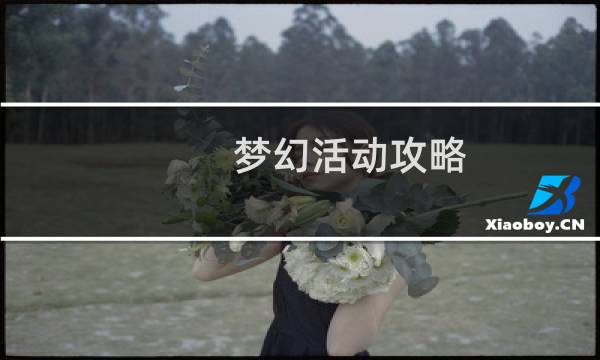梦幻活动攻略