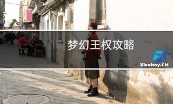 梦幻王权攻略