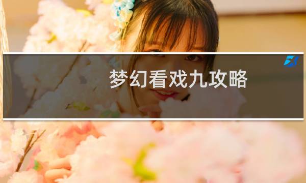 梦幻看戏九攻略