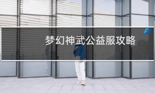 梦幻神武公益服攻略