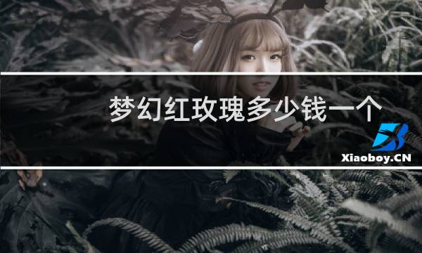 梦幻红玫瑰多少钱一个