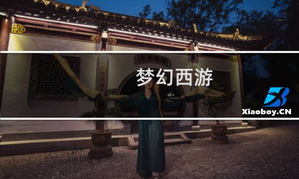 梦幻西游 宝宝携带等级