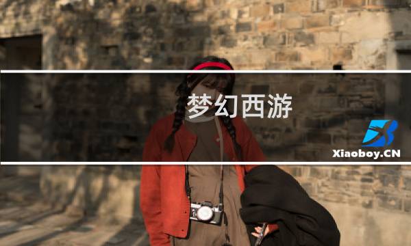 梦幻西游 怎么选区