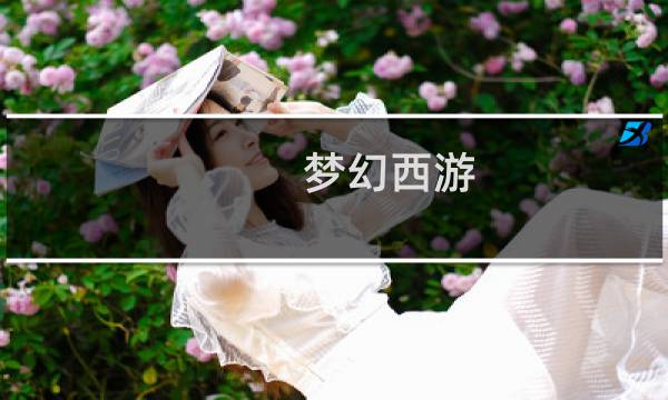 梦幻西游 服务器列表