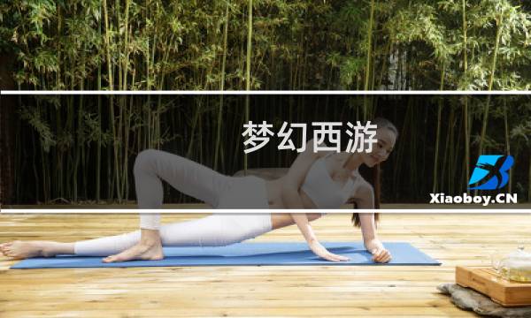 梦幻西游 点强身攻略