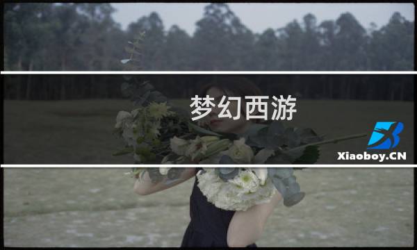 梦幻西游 祝融技能