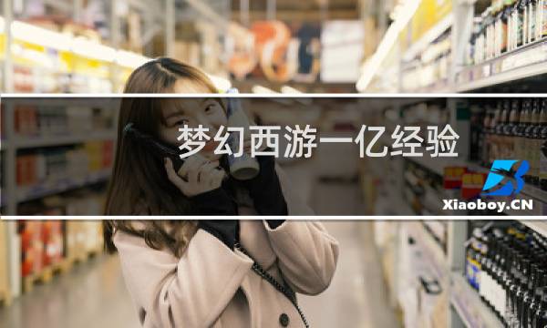 梦幻西游一亿经验