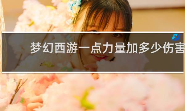 梦幻西游一点力量加多少伤害