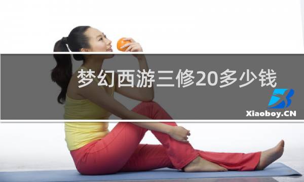 梦幻西游三修20多少钱