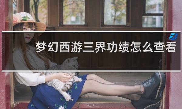 梦幻西游三界功绩怎么查看