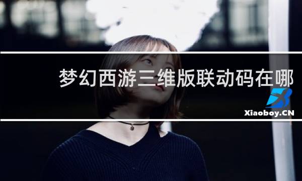 梦幻西游三维版联动码在哪