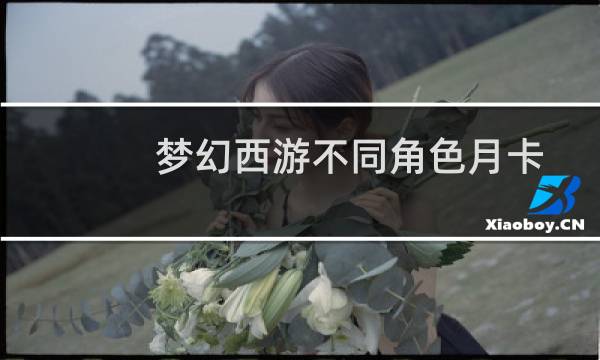 梦幻西游不同角色月卡
