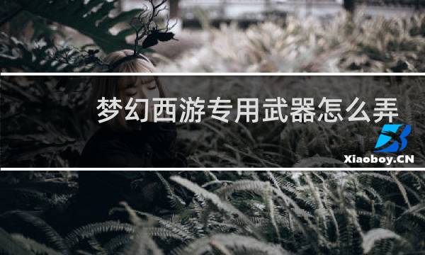 梦幻西游专用武器怎么弄