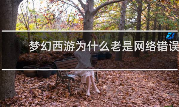 梦幻西游为什么老是网络错误