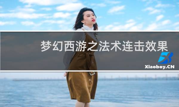 梦幻西游之法术连击效果