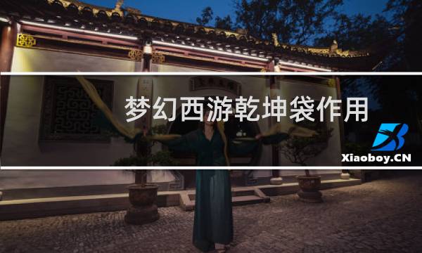 梦幻西游乾坤袋作用