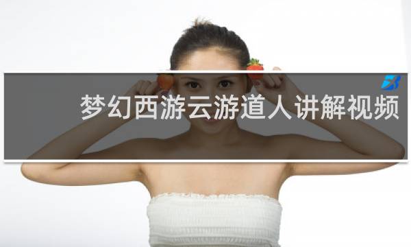 梦幻西游云游道人讲解视频
