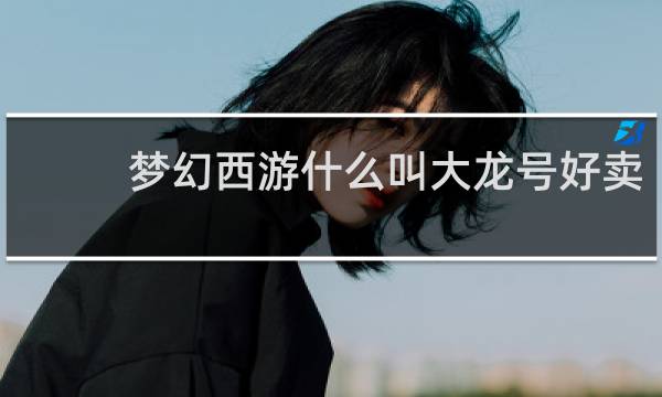 梦幻西游什么叫大龙号好卖