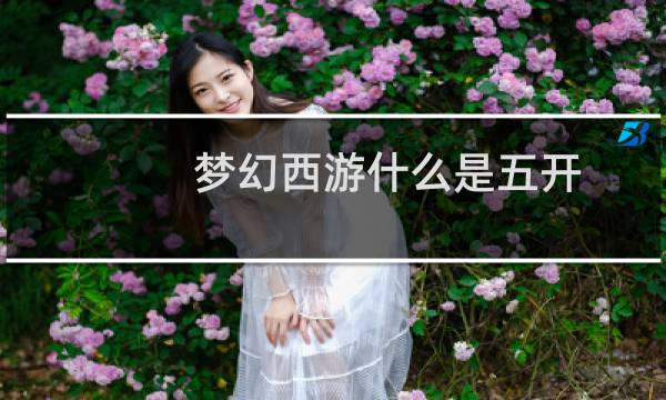 夢幻西游什么是五開