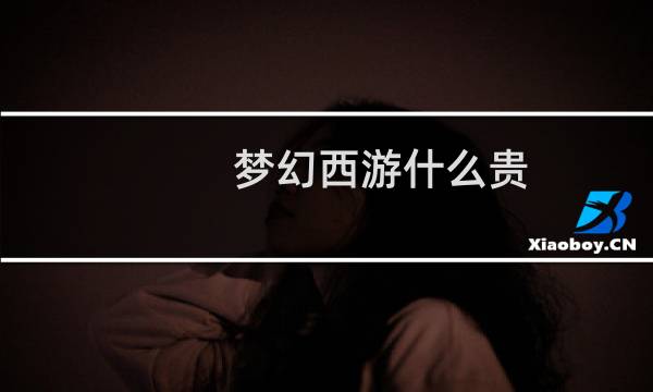 梦幻西游什么贵