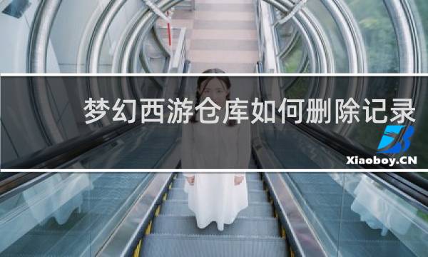 梦幻西游仓库如何删除记录