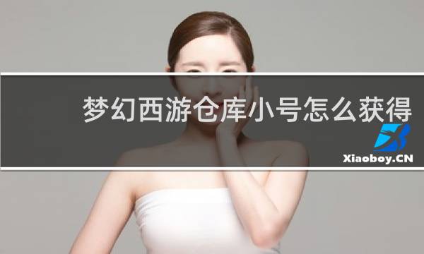 梦幻西游仓库小号怎么获得