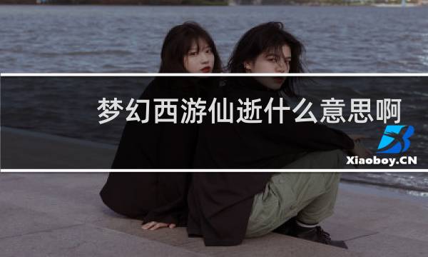 梦幻西游仙逝什么意思啊
