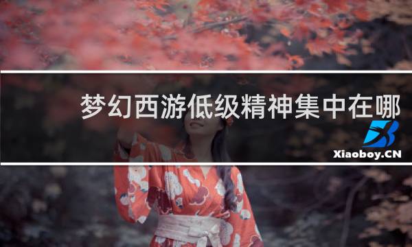 梦幻西游低级精神集中在哪