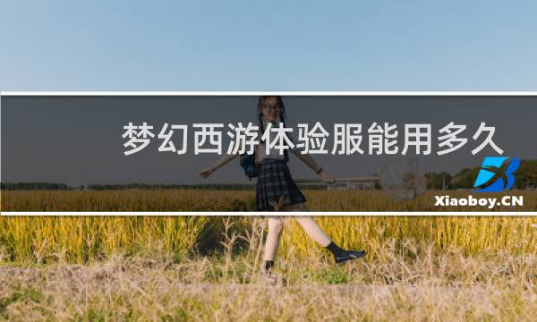 梦幻西游体验服能用多久