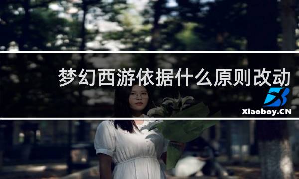 梦幻西游依据什么原则改动