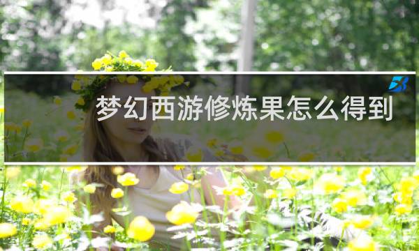 梦幻西游修炼果怎么得到