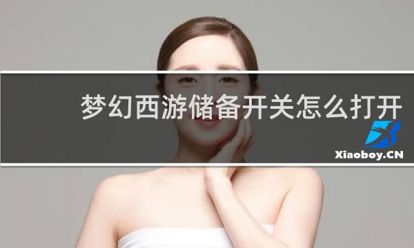 梦幻西游储备开关怎么打开