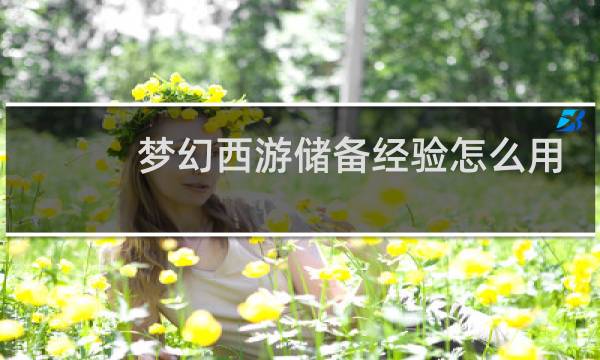 梦幻西游储备经验怎么用
