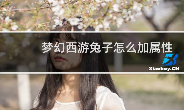 梦幻西游兔子怎么加属性