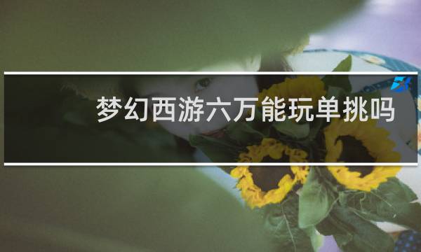 梦幻西游六万能玩单挑吗