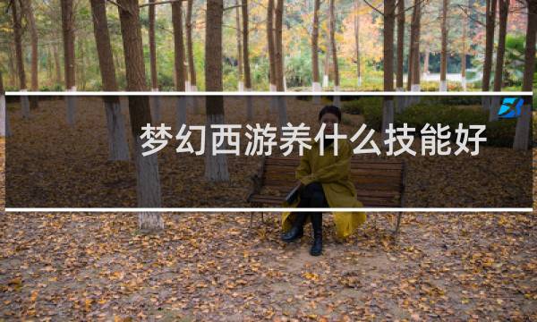 梦幻西游养什么技能好