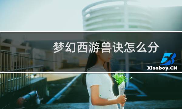 梦幻西游兽诀怎么分