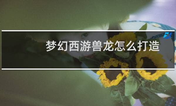 梦幻西游兽龙怎么打造
