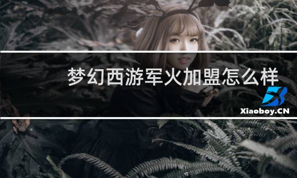 梦幻西游军火加盟怎么样