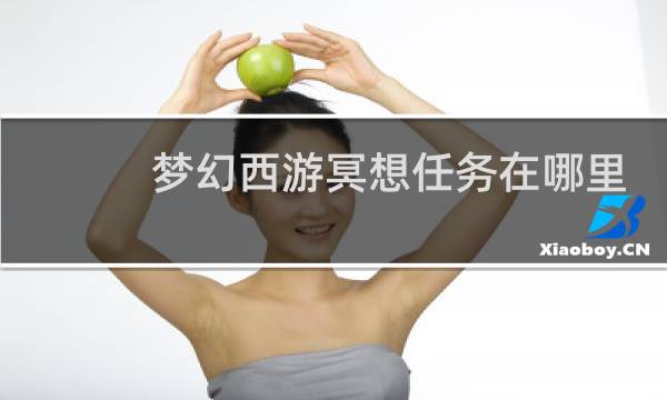 梦幻西游冥想任务在哪里