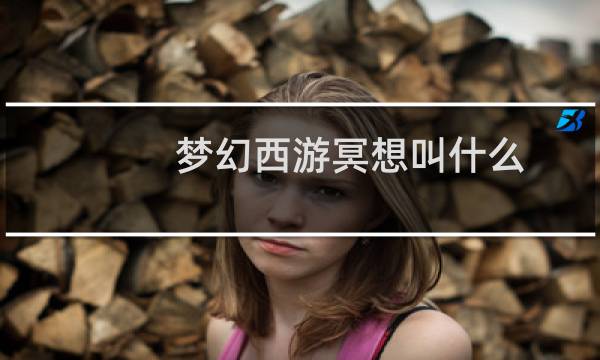 梦幻西游冥想叫什么