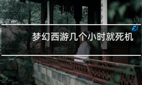 梦幻西游几个小时就死机