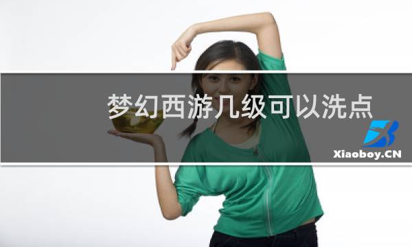 梦幻西游几级可以洗点