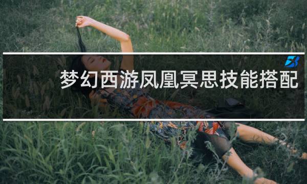 梦幻西游凤凰冥思技能搭配
