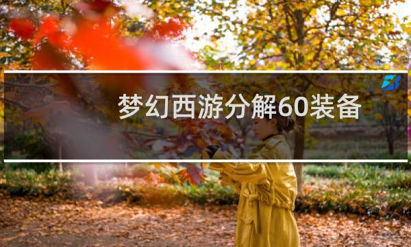 梦幻西游分解60装备